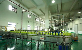 從曇花一現(xiàn)的飲料品牌看企業(yè)家精神缺失的警示
